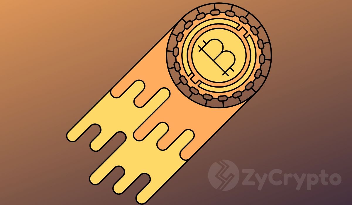 $250,000_ Dizzying Bitcoin Price Coming Six Months After Halving, Affirms Billionaire Investor Tim Draper $250,000: Dizzying Bitcoin Price Coming Six Months After Halving, Affirms Billionaire Investor Tim Draper