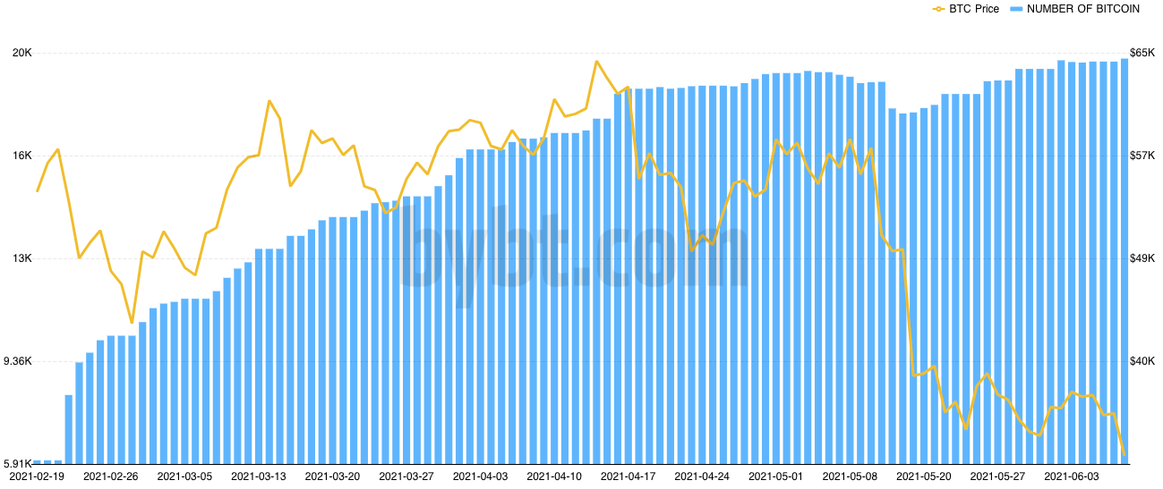 image1 Bitcoin and Ether Options Market Experiences a Boom | BitcoinExchangeGuide image1