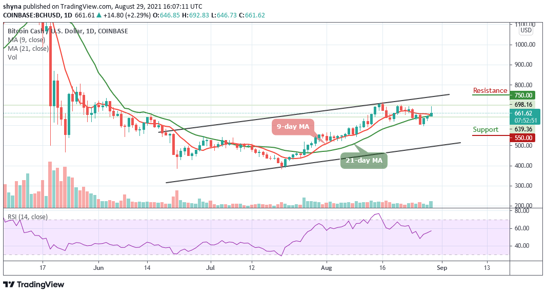 Bitcoin Cash Price Prediction