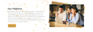 CryptGain trading software
